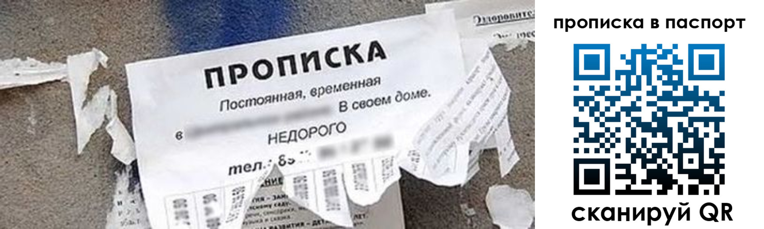где прописаться в Воронежской области